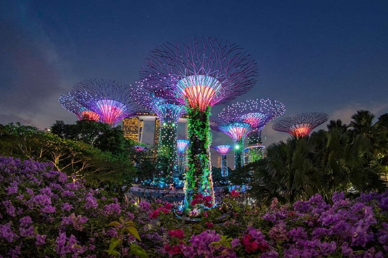 Gardens by the Bay - biểu tượng của Singapore