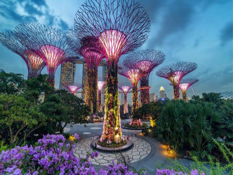 Cây cổ thụ độc đáo tại Garden by the Bay