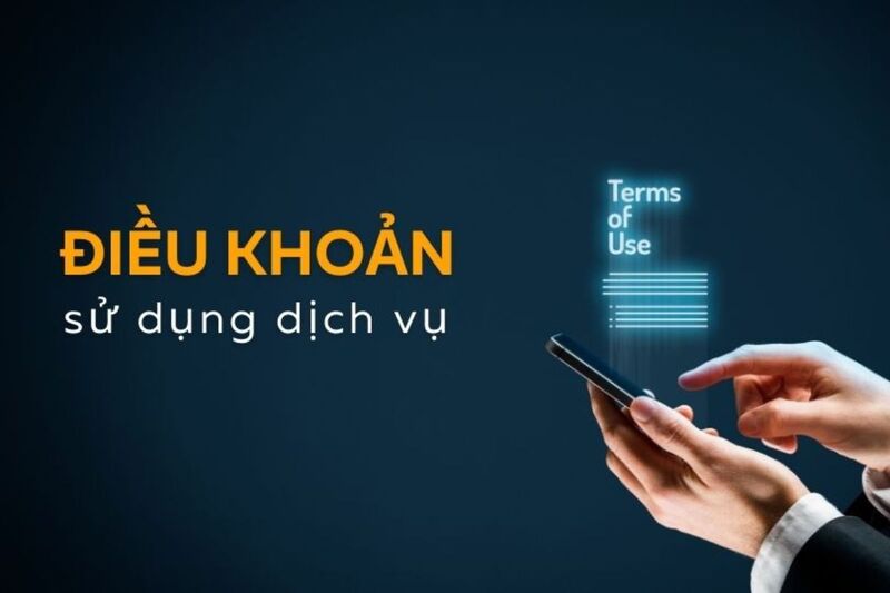 Điều khoản sử dụng Vieclamsingapore24h.com