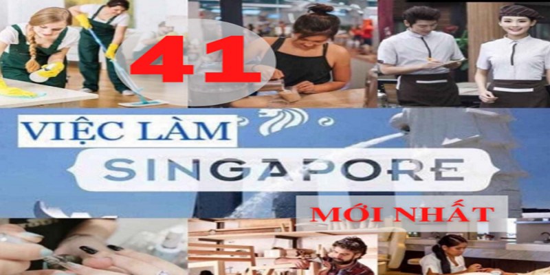 41 đơn hàng Singapore mới nhất